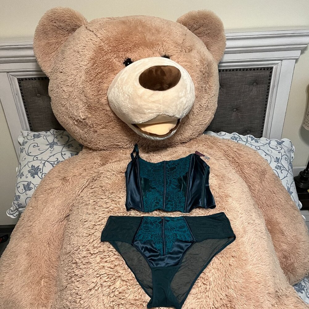 NWT Adore Me Geneviève Cropped Corset & Panty Set